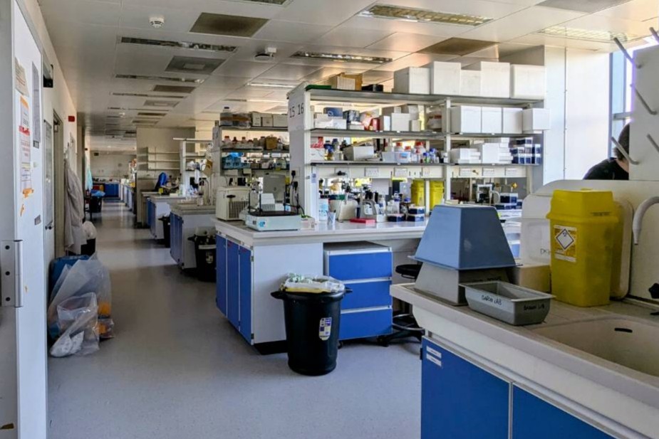 細胞生物学系の研究室が使っていた実験室