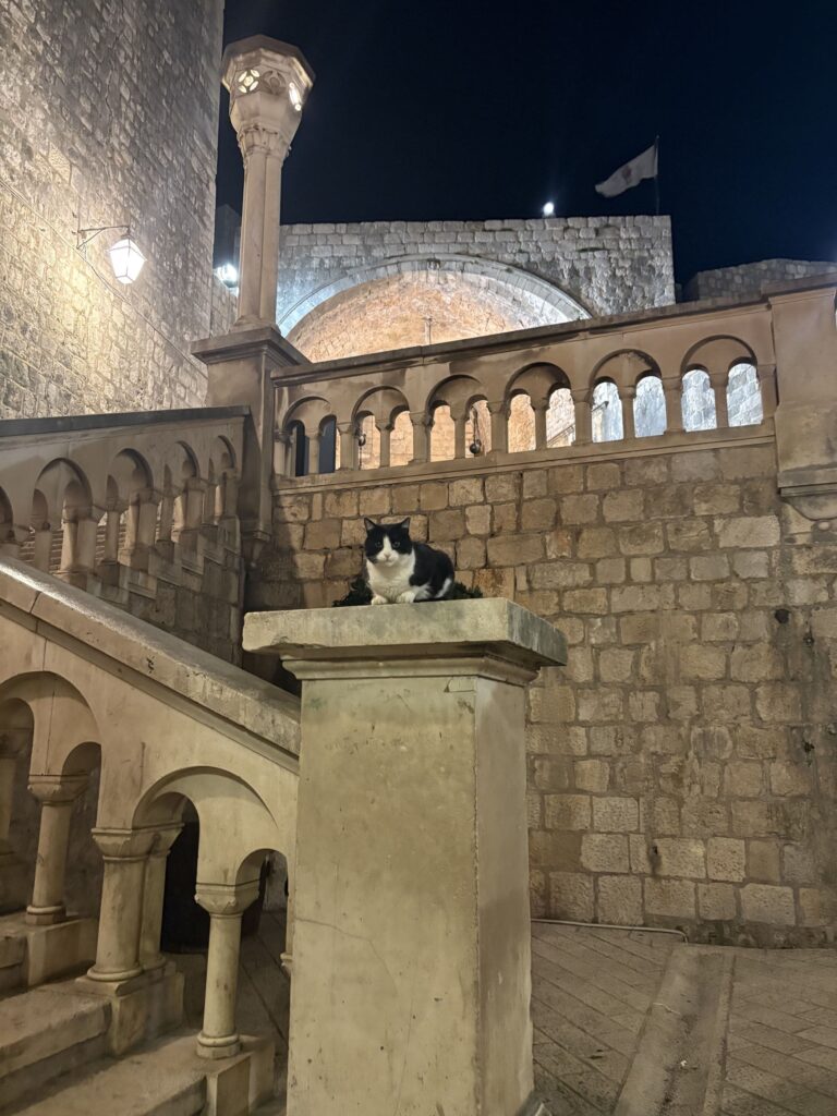 魔女の宅急便の舞台(ドブロブニク)